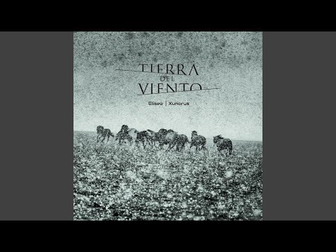 Pájaros en el Monte