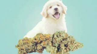 GEMITAIZ-Oro e argento (offıciall video)