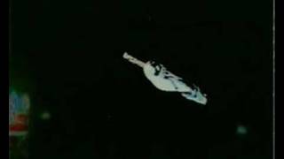 Hangnail(uk) - &quot;Gone&quot; ( a short clip )