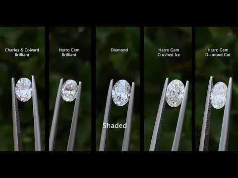 Oval Diamond vs Moissanite