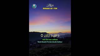 Download lagu Surah AT-TIN Merdu | Salim Bahanan | #shorts mp3 Download lagu Surah AT-TIN Merdu | Salim Bahanan | #shorts mp3