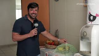 TV Mãos à Obra mostra dicas para preparar salada e retomar a alimentação saudável