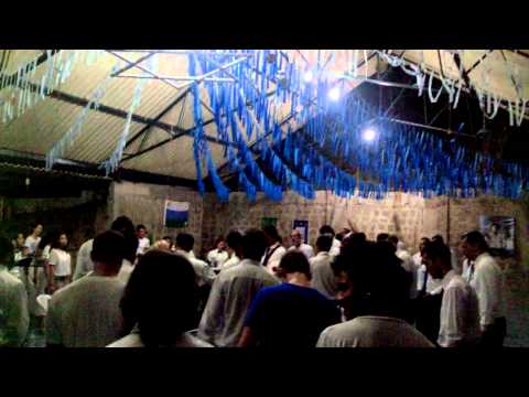 Sou Brilho do Sol/Vivo na Floresta Pd. Alfredo  Jardim Praia da Beira Mar - niver 15 anos do Jardim