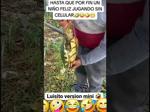 COMPONETE 🤣 🐕 🤣 🐕 🤣#humor #COMEDIA #RISA