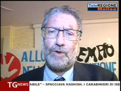 Telegiornale ore 19.30 - 22/11/2016