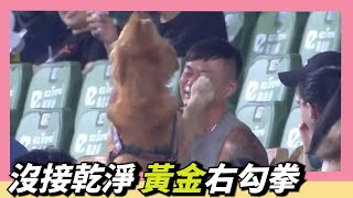 [分享] 球迷接到界外球 卻被賞了黃金右直拳?!