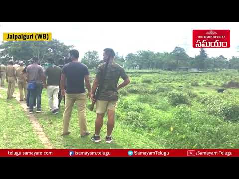 Wild elephant strays into village in Bengal’s Jalpaiguri, destroys tea plantation ||Samayam Telugu