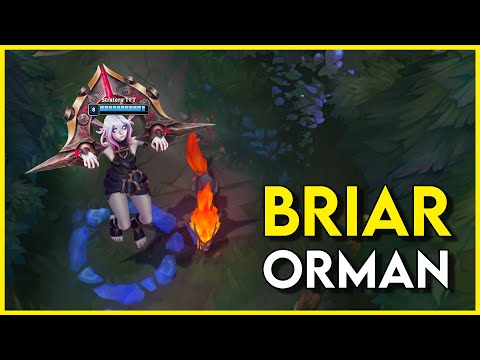 BRIAR OYNADIM!! | Gerçi şamp kendini oynuyor zaten, bi garip