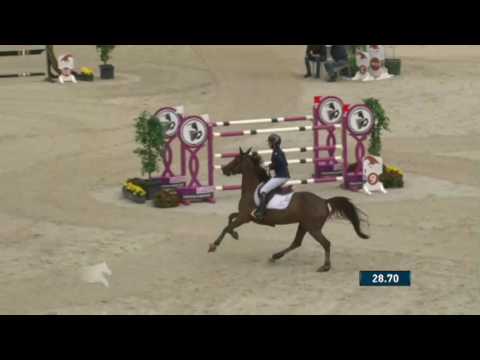 Sakann - Valkensward/NED, 2016 (Katharina Offel)