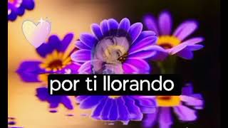 morena, letra - Bronco