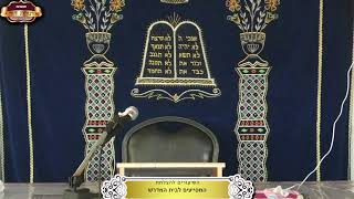 בית המדרש "תורת דוד" ¤ שידור חי ¤ י"ט תמוז תשפ"ה (15.7.2025) (מוסדות תורת דוד) - התמונה מוצגת ישירות מתוך אתר האינטרנט יוטיוב. זכויות היוצרים בתמונה שייכות ליוצרה. קישור קרדיט למקור התוכן נמצא בתוך דף הסרטון