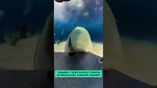 TUBARAO ENGOLIU A CAMERA!