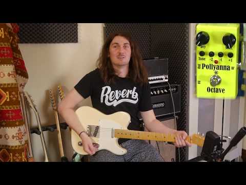 Pollyanna Octave by Mi Audio | RockBoard