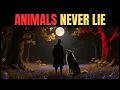 The Strange Signal: Why Animals and Children Trust the LONER But Adults Don't | Dark Psychology