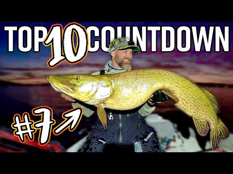 The 10 Biggest Pike of the Year  - All Monsters Listed 🐊