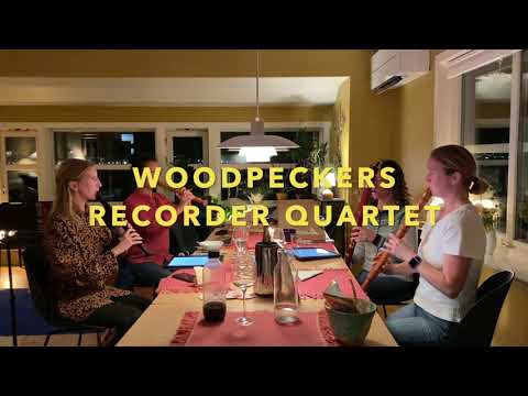 Star Wars Episode X "The Order of the Recorder" starring Woodpeckers Recorder Quartet