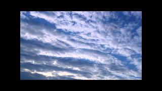 the times-lundi bleu.wmv