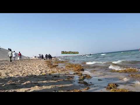 Most beautiful beach qatar 2023#viral#beach