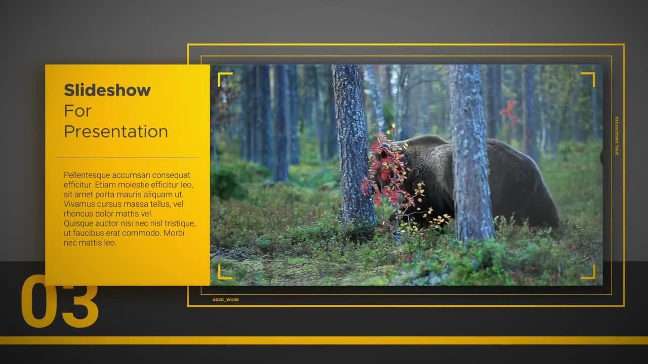 Simple Presentation Slideshow After Effects Templates