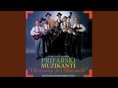 Iz zemlje gre v trsek