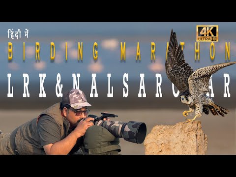 "Birding in LRK & Nalsarovar: A 5-Day Wildlife Adventure in Gujarat!"