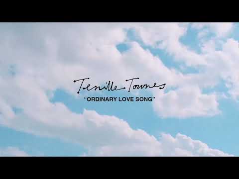 ordinary love song