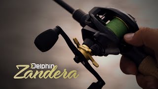 Delphin ZANDERA 5+1BB