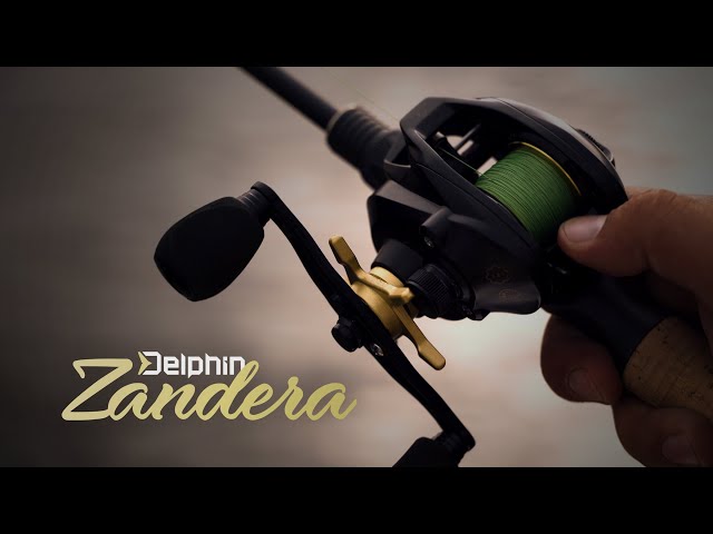 zandera reel
