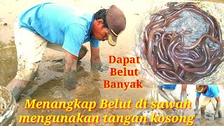 Download lagu Catching Eels with bare hands, tutors mp3