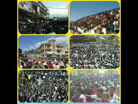 Itti bohara naashidaa baareeduu tanaa