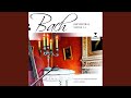 Orchestral Suite No 2 In B Minor BWV 1067 VI Menuet