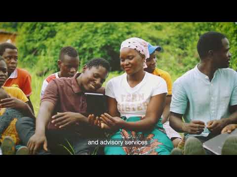 Mlimi Digital Project Video Thumbnail