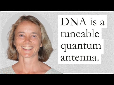 Ulrike Granögger: Evidence For The Wave Genome