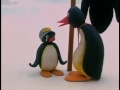 Pingu 04