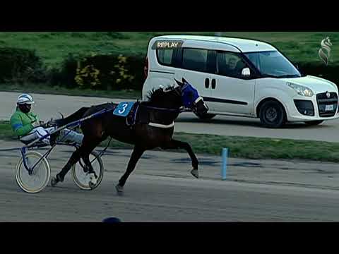 Aversa trotto 21 Gennaio 2023 - 4° Corsa