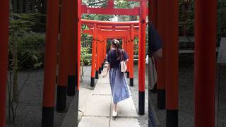 来宮神社（きのみやじんじゃ） #japantrip