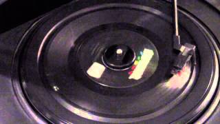 Just A Little Too Much - Ricky Nelson (45 rpm)