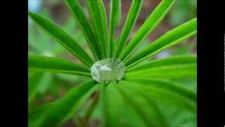 E RICOMINCIO A VIVERE