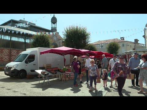 Législatives 2022 : campagne express pour Marchive et Charron 1ère circo Deux-Sèvres