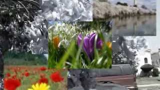 At Vance :::: Four Seasons/Spring.