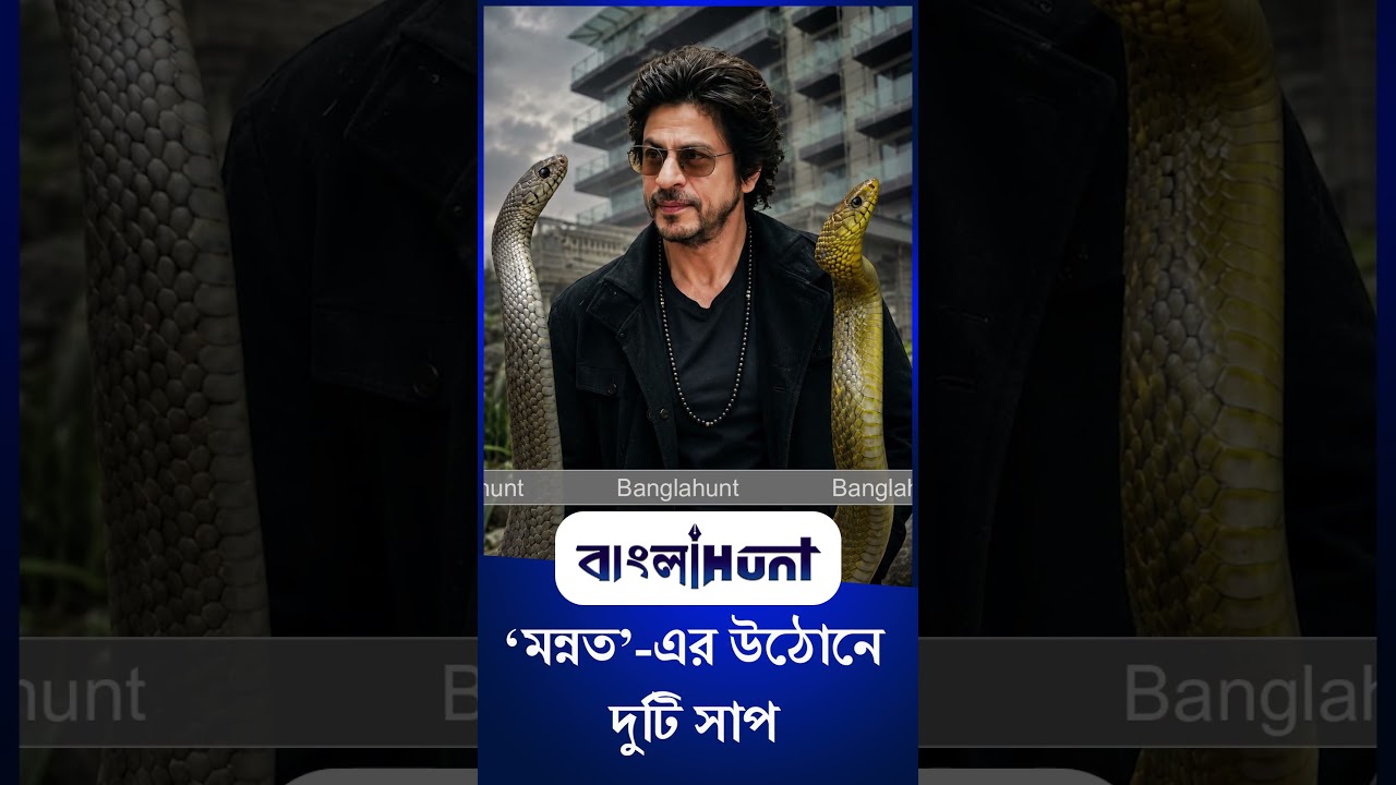 Shah Rukh Khan: শাহরুখের বাড়িতে ভয়ঙ্কর কাণ্ড!