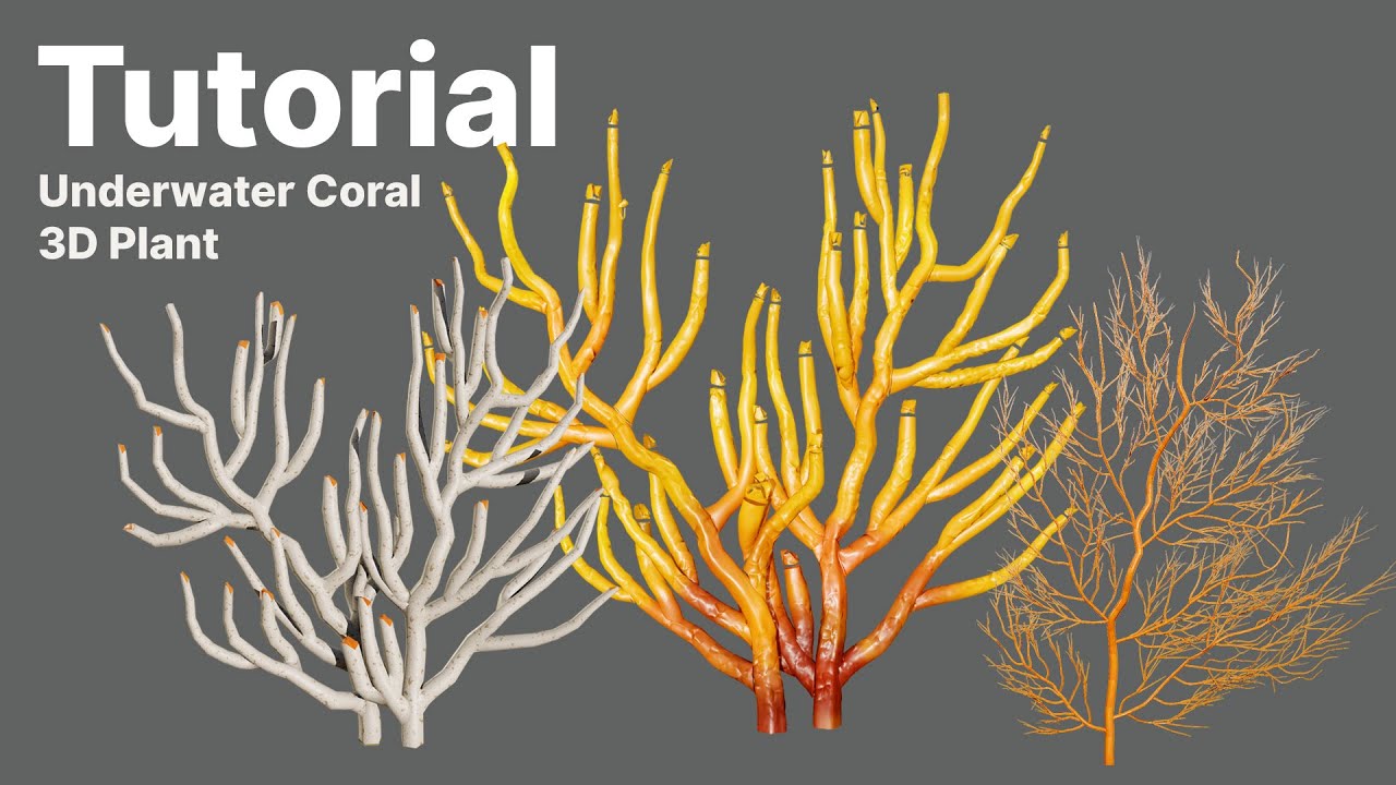 Gorgonian Coral s Pack with Free Tutorial 3D Model