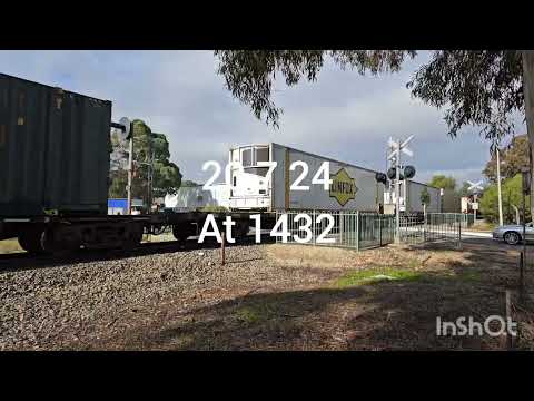 NR95 and NR22 leading 7MP7