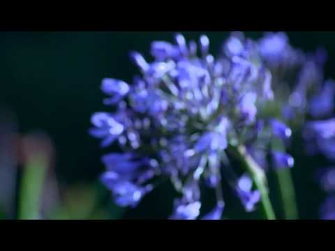 rzyczenia świąteczne