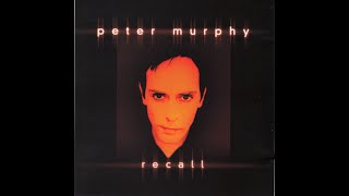 Peter Murphy - Big Love of a Tiny Fool