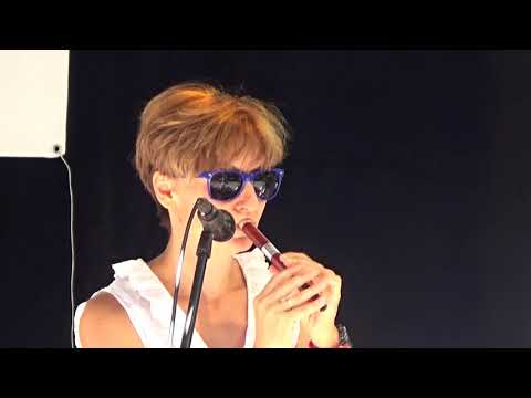 Vikino Kolo (Velja Kokorić cover)