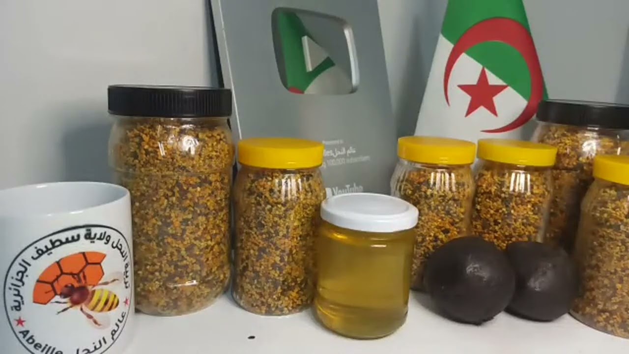مقطع من مباشر البارحة هل النحل يبني الشمع اجابة عن اسئلة المتابعين تربية الن?