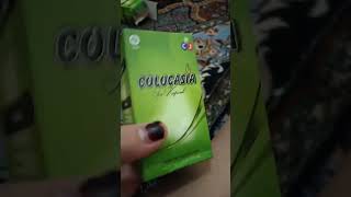 Download lagu COLOCASIA OBAT NYERI SENDI & REMATIK ORIGINAL mp3
