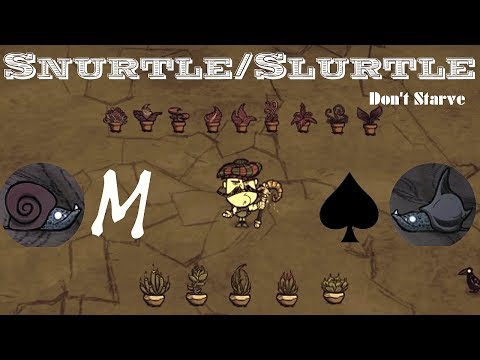 Don't Starve (Together) – Slurtle, Snurtle e Decorações (Potted Fern e Succulent)