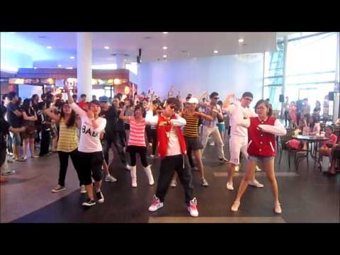 FLASH MOB 2012-FULL (Unedited)